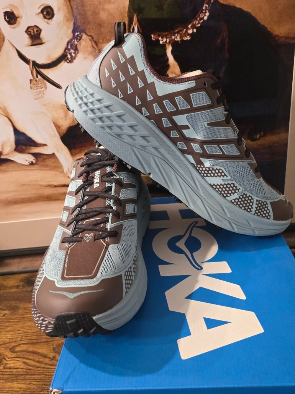 Hoka One One Speedgoat 2 Blue Brown 1162710 DZYC Trail Men’s Size 12 Shoes NEW